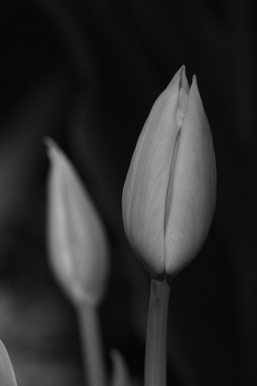 2015 05 02 HTP 000046996ebw